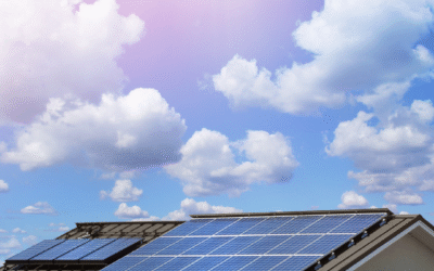 How Do Solar Panels Work?