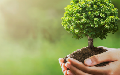 Celebrate Earth Day With These 6 Sustainable Living Hacks